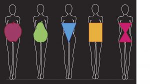 Women Body Shapes